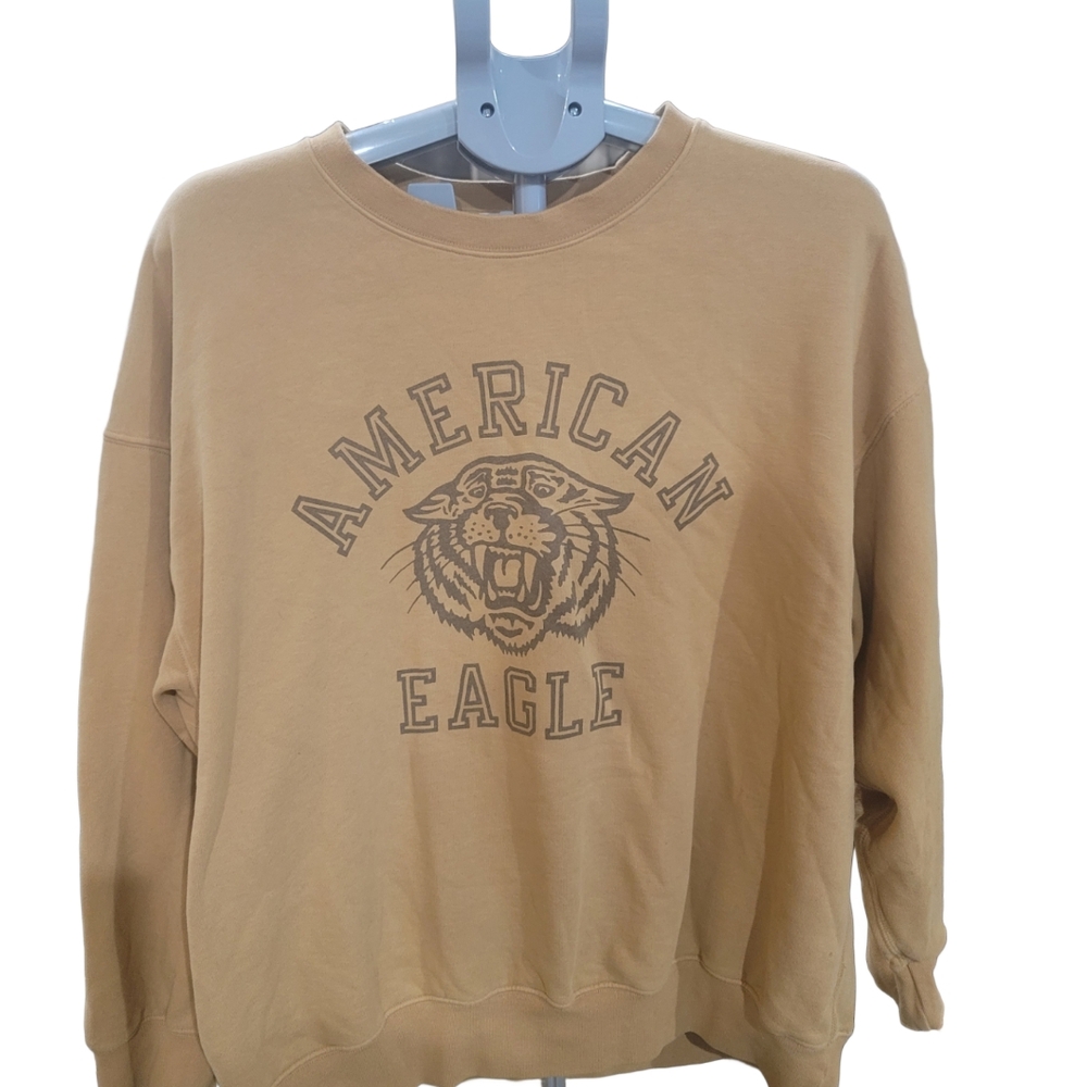 American Eagle Outfitters Brown Crewneck Sweater